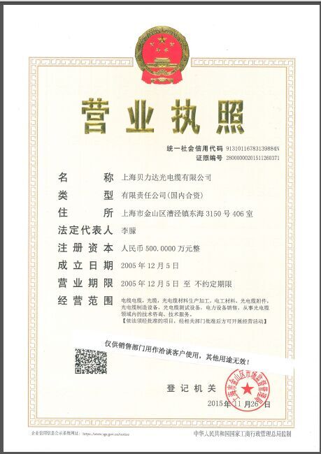 公司营业执照
